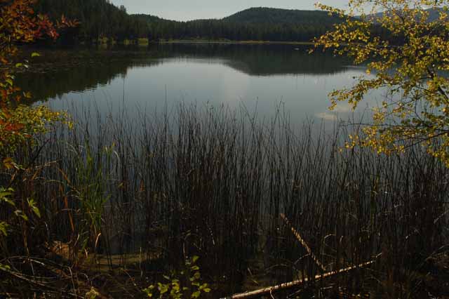 Lake Murray